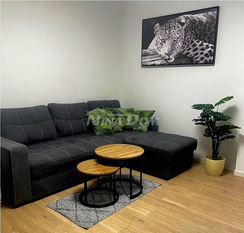 Apartman u prizemlju 200 met. do mora, južna strana Vira - 10