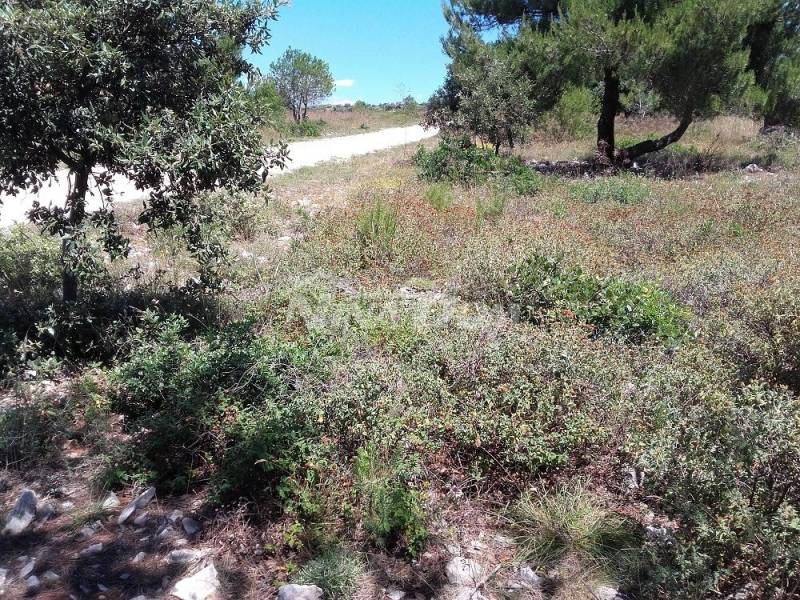 Agricultural land, south side with a view of the sea. - 2