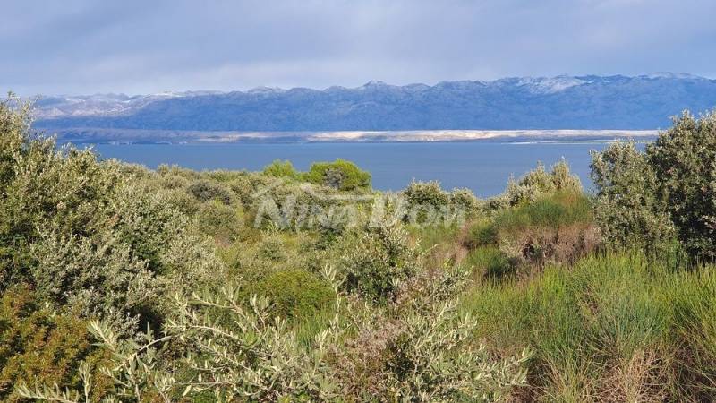 Poľnohospodársky pozemok s krásnym výhľadom na more a Velebit 5 € m2 - 6