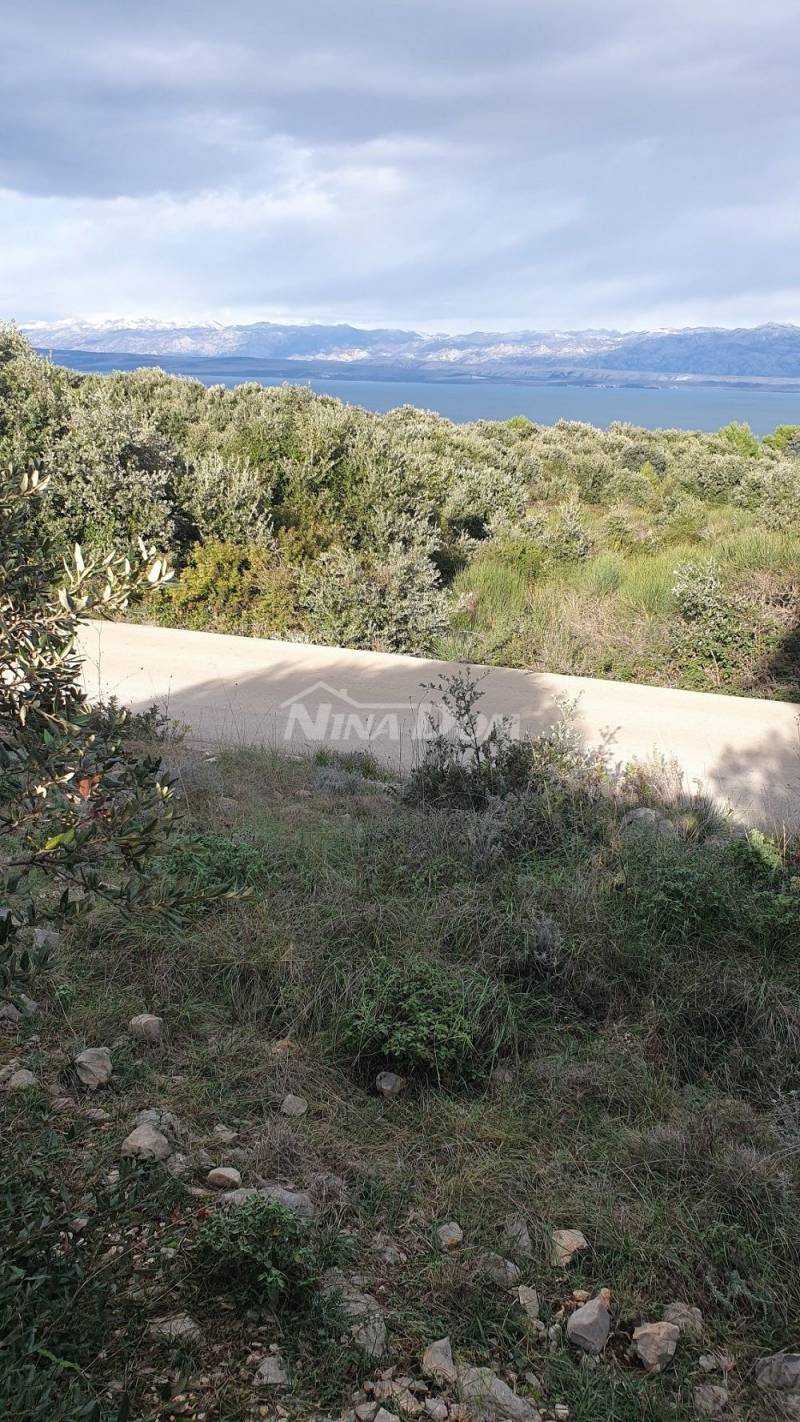 Agricultural land with a beautiful view of the sea and Velebit €5 m2 - 1