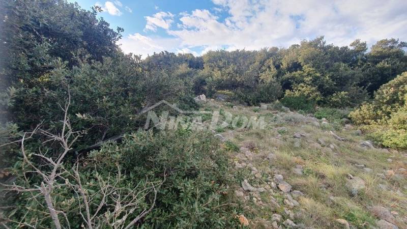 Agricultural land with a beautiful view of the sea and Velebit €5 m2 - 2