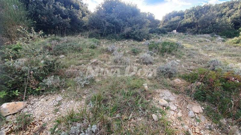 Agricultural land with a beautiful view of the sea and Velebit €5 m2 - 4