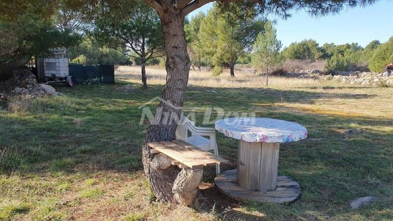 Agricultural land with young olive trees 22 €/m2 - 4