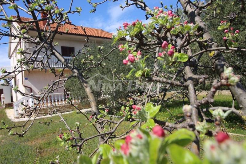 Center of the island of Vir, spacious garden, two three-room apartments, garage - 4