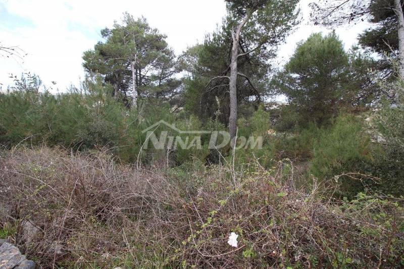 Land under UPU plan 80€/1m2. - 2