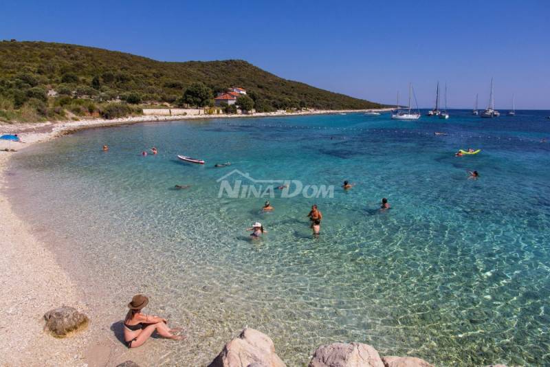 Prvi red otok Premuda rijetkost na tržištu - 2